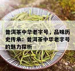 普洱茶中华老字号，品味历史传承：普洱茶中华老字号的魅力探析