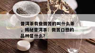 普洱茶有些微苦的叫什么茶，揭秘普洱茶：微苦口感的品种是什么？