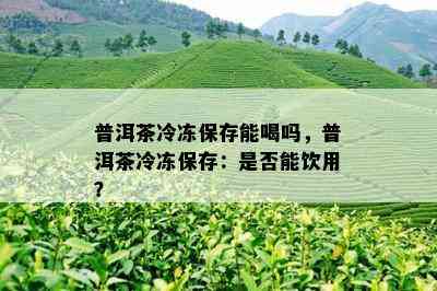 普洱茶冷冻保存能喝吗，普洱茶冷冻保存：是否能饮用？