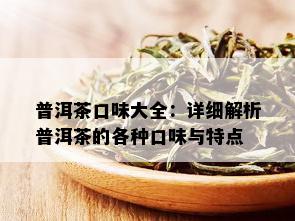 普洱茶口味大全：详细解析普洱茶的各种口味与特点