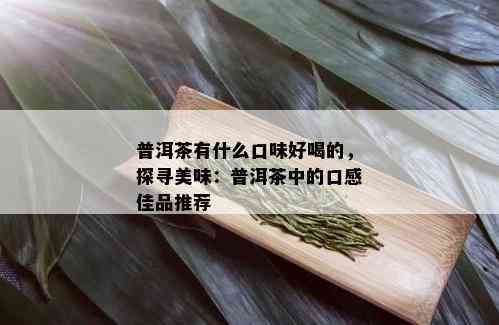 普洱茶有什么口味好喝的，探寻美味：普洱茶中的口感佳品推荐