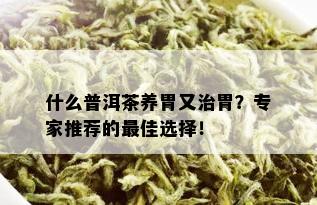 什么普洱茶养胃又治胃？专家推荐的更佳选择！