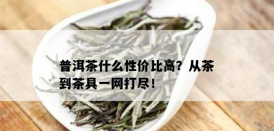 普洱茶什么性价比高？从茶到茶具一网打尽！