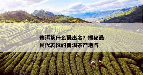 普洱茶什么最出名？揭秘更具代表性的普洱茶产地与