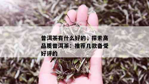 普洱茶有什么好的，探索高品质普洱茶：推荐几款备受好评的