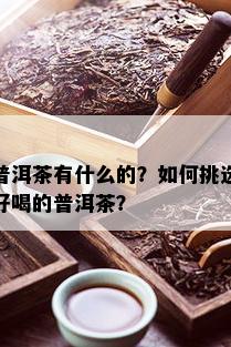 普洱茶有什么的？如何挑选好喝的普洱茶？