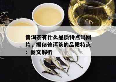 普洱茶有什么品质特点吗图片，揭秘普洱茶的品质特点：图文解析