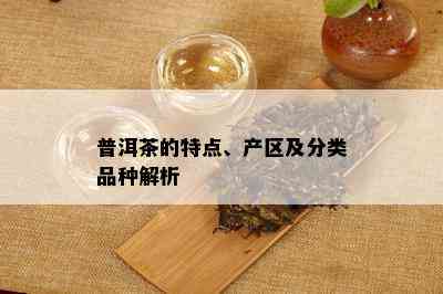 普洱茶的特点、产区及分类品种解析