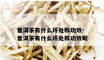 普洱茶有什么坏处和功效-普洱茶有什么坏处和功效呢