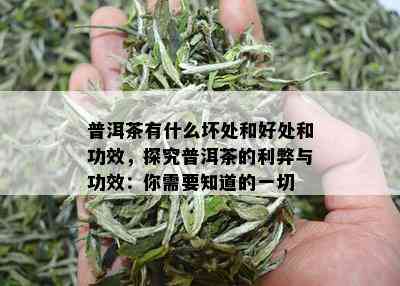 普洱茶有什么坏处和好处和功效，探究普洱茶的利弊与功效：你需要知道的一切