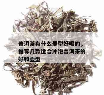 普洱茶有什么壶型好喝的，推荐几款适合冲泡普洱茶的好和壶型