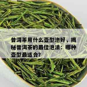 普洱茶用什么壶型泡好，揭秘普洱茶的更佳泡法：哪种壶型最适合？