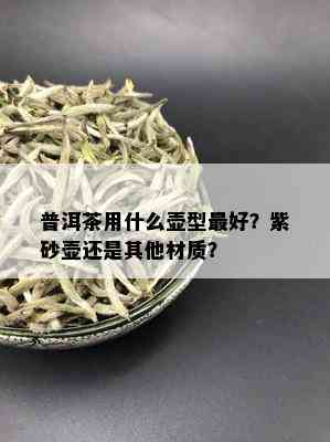 普洱茶用什么壶型更好？紫砂壶还是其他材质？