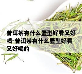 普洱茶有什么壶型好看又好喝-普洱茶有什么壶型好看又好喝的