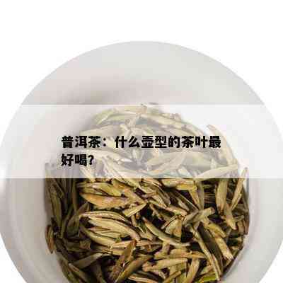 普洱茶：什么壶型的茶叶更好喝？