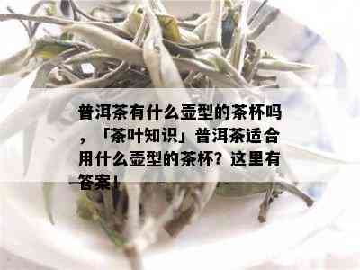 普洱茶有什么壶型的茶杯吗，「茶叶知识」普洱茶适合用什么壶型的茶杯？这里有答案！