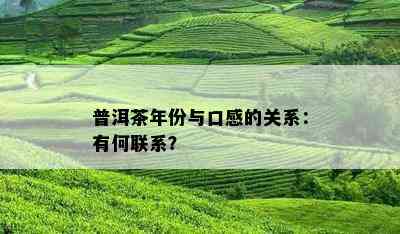 普洱茶年份与口感的关系：有何联系？