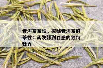 普洱茶茶性，探秘普洱茶的茶性：从发酵到口感的独特魅力