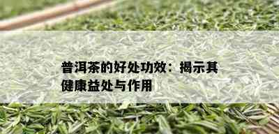 普洱茶的好处功效：揭示其健康益处与作用