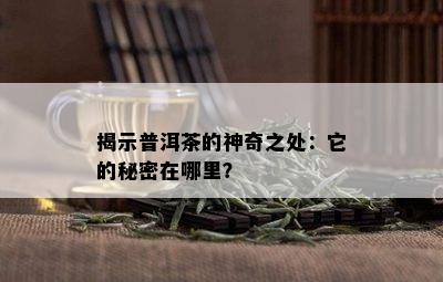 揭示普洱茶的神奇之处：它的秘密在哪里？