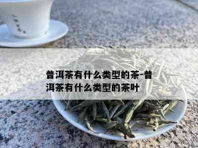 普洱茶有什么类型的茶-普洱茶有什么类型的茶叶