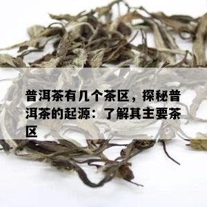 普洱茶有几个茶区，探秘普洱茶的起源：了解其主要茶区