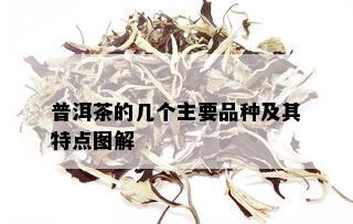 普洱茶的几个主要品种及其特点图解