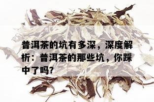 普洱茶的坑有多深，深度解析：普洱茶的那些坑，你踩中了吗？