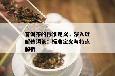 普洱茶的标准定义，深入理解普洱茶：标准定义与特点解析