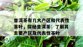 普洱茶有几大产区和代表性茶叶，探秘普洱茶：了解其主要产区及代表性茶叶