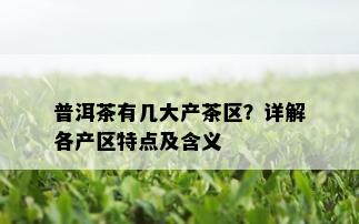 普洱茶有几大产茶区？详解各产区特点及含义