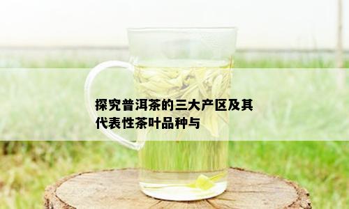 探究普洱茶的三大产区及其代表性茶叶品种与