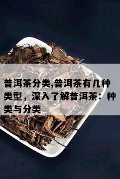 普洱茶分类,普洱茶有几种类型，深入了解普洱茶：种类与分类