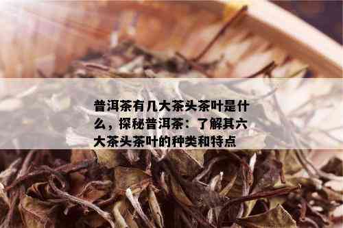 普洱茶有几大茶头茶叶是什么，探秘普洱茶：了解其六大茶头茶叶的种类和特点