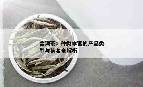 普洱茶：种类丰富的产品类型与茶名全解析