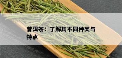 普洱茶：了解其不同种类与特点