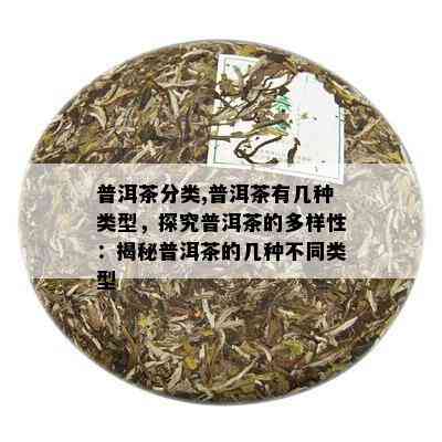 普洱茶分类,普洱茶有几种类型，探究普洱茶的多样性：揭秘普洱茶的几种不同类型