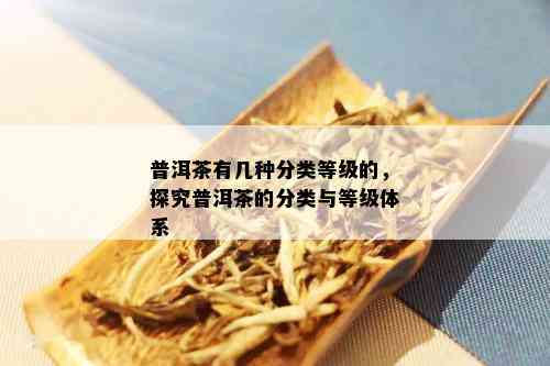 普洱茶有几种分类等级的，探究普洱茶的分类与等级体系