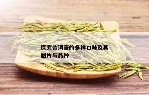 探究普洱茶的多样口味及其图片与品种