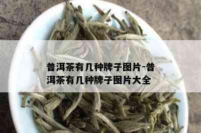 普洱茶有几种牌子图片-普洱茶有几种牌子图片大全