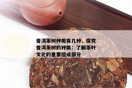 普洱茶树种类有几种，探究普洱茶树的种类：了解茶叶文化的重要组成部分