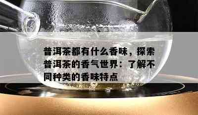 普洱茶都有什么香味，探索普洱茶的香气世界：了解不同种类的香味特点