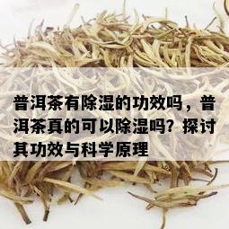 普洱茶有除湿的功效吗，普洱茶真的可以除湿吗？探讨其功效与科学原理