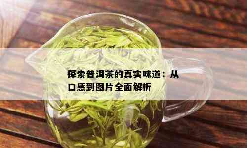 探索普洱茶的真实味道：从口感到图片全面解析