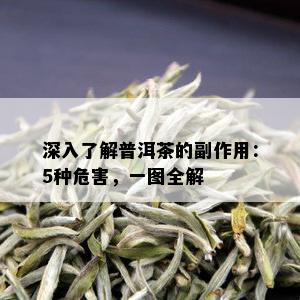 深入了解普洱茶的副作用：5种危害，一图全解