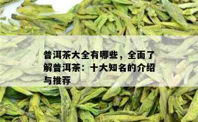 普洱茶大全有哪些，全面了解普洱茶：十大知名的介绍与推荐