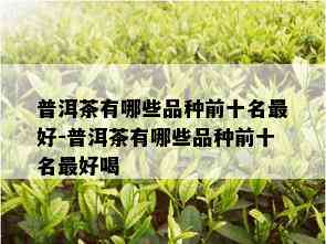 普洱茶有哪些品种前十名更好-普洱茶有哪些品种前十名更好喝