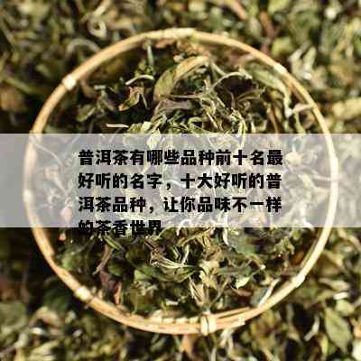 普洱茶有哪些品种前十名更好听的名字，十大好听的普洱茶品种，让你品味不一样的茶香世界