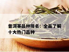 普洱茶品种排名：全面了解十大热门品种