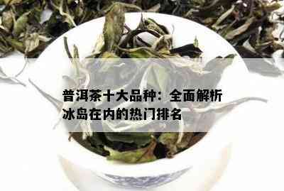 普洱茶十大品种：全面解析冰岛在内的热门排名